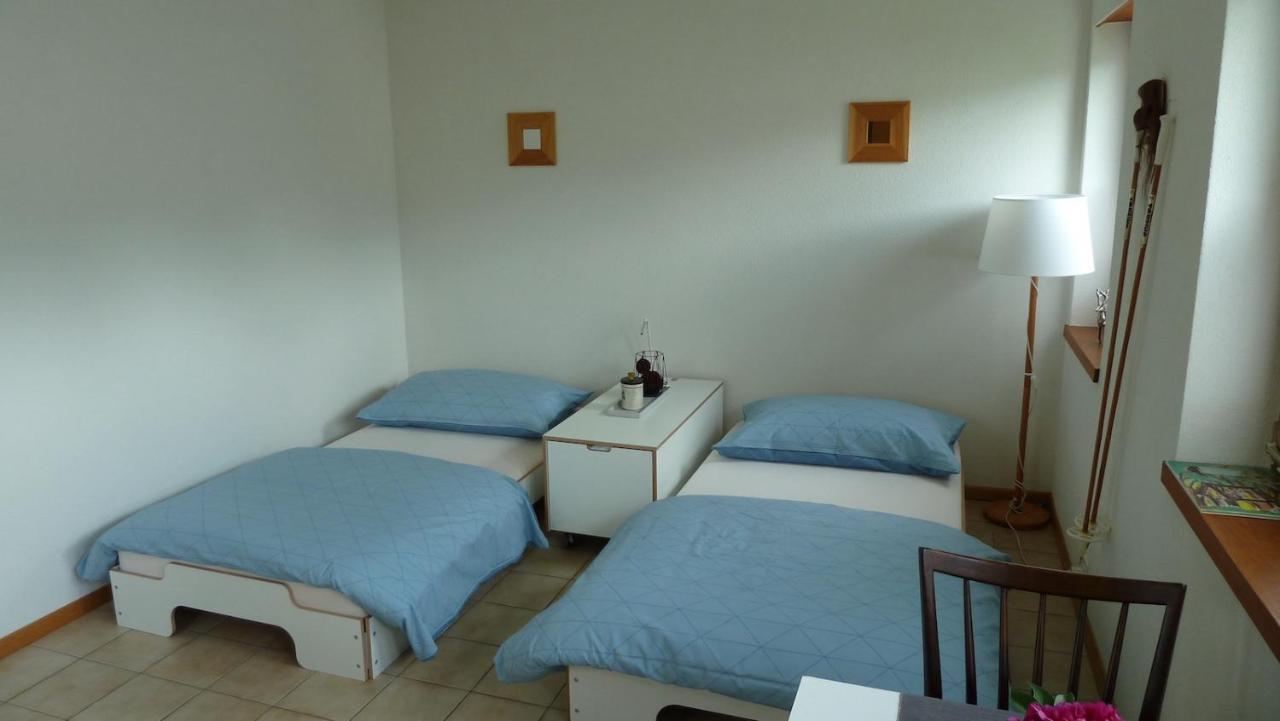 Holzji Appartement Glis Buitenkant foto